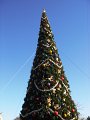 November2007 026